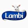 Lambi